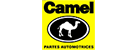 camel